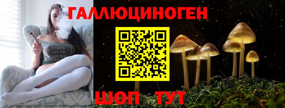 Галлюциногенные грибы Psilocybine cubensis  Вход с VPN  Галлюциногенные грибы Psilocybine cubensis  Санкт-Петербург 
